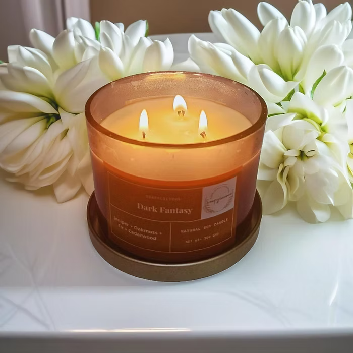 3-Wick Soy Wax Candle - Juniper, Oakmoss, Fir & Cedarwood | 300g Handmade, Vegan